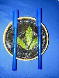 Stylo magique pour réussir  pour réussir aux examens et concours